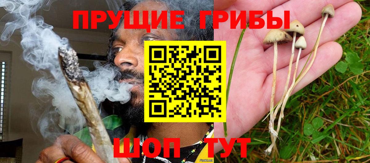 Псилоцибиновые грибы Cubensis  Вход с VPN  Кострома  Галлюциногенные грибы MAGIC MUSHROOMS 