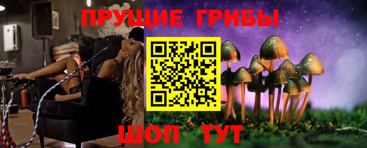 Галлюциногенные грибы MAGIC MUSHROOMS Кострома